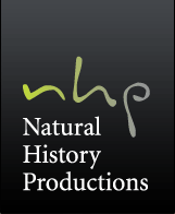 nhp_logo